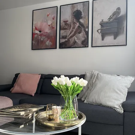 Entire 60m2 - Close To Paris - Parking - Kitchen - 2min Rerb - Olympic'24 Apartment *